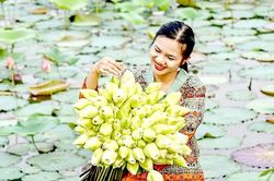 Độc đáo sen trắng