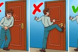 Học cách sống sót khi bị cá mập, gấu... tấn công
