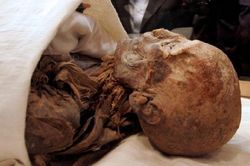 Trưng bày xác ướp 3.000 năm, thổi bùng lo sợ giải phóng lời nguyền của các Pharaoh