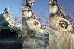 Mèo cũng biết tu hành? Chú mèo chui vào tay tượng Phật gây xôn xao dư luận