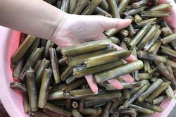 Tuyệt chiêu chọn ốc móng tay ngon, nhiều thịt
