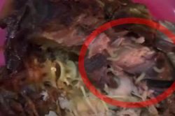 Kinh hãi giòi bò lúc nhúc trong khúc cá kho của chuỗi cửa hàng thực phẩm sạch ở Hà Nội