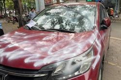 Ôtô Honda CR-V bị xịt sơn khi đỗ trước cửa hàng