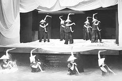 Rối thử nghiệm Trăng đất Việt