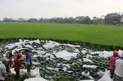 Lật xe tải chở 29 tấn dưa hấu tại Hà Tĩnh