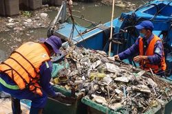 Hai cơn mưa ở TPHCM làm chết gần 14 tấn cá trên kênh