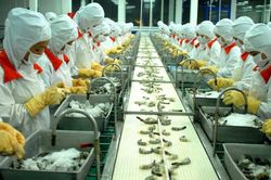 Thực thi RCEP: Nắm vững quy định pháp lý để tránh rủi ro