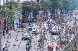 Sau 3 năm, Hà Nội thay hàng cây phong lá đỏ đường Nguyễn Chí Thanh bằng cây bàng