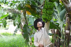 Xây dựng và phát huy hiệu quả sử dụng thương hiệu
