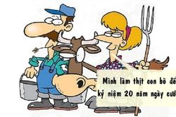 Bò phải chịu trách nhiệm về hôn nhân của chủ