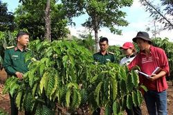 No ấm trên vùng đất Quảng Sơn