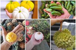 5 loại quả tý hon đi máy bay về Việt Nam... giá 'chát' vẫn bán tới tấp