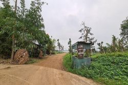 Tình trạng lấn chiếm đất nông nghiệp ven sông Hồng tái phát: Thủ tướng chỉ đạo xử lý nghiêm