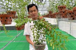 Ông chủ vườn lan Phạm Minh Minh nổi tiếng, được yêu mến đến không ngờ