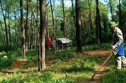 KOICA và các tỉnh miền Trung hợp tác khắc phục hậu quả bom mìn và phát triển nông thôn