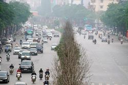 Cận cảnh hàng phong xơ xác giữa lòng Thủ đô trước ngày thay thế