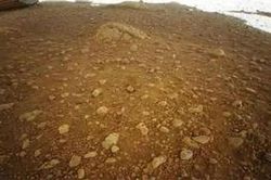 Trực thăng NASA chụp bức ảnh màu đầu tiên trên sao Hỏa