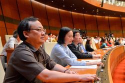 Quốc hội biểu quyết miễn nhiệm Phó Thủ tướng Trịnh Đình Dũng và 12 thành viên Chính phủ