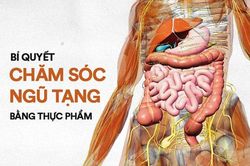 Thực phẩm bổ thận, chăm sóc nội tạng hiệu quả hơn cả dùng thuốc