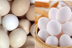 Mua trứng nên chọn quả to hay nhỏ? Đây là 'bí mật' mà người bán sẽ không bao giờ tiết lộ