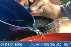 Thương hiệu làng nghề