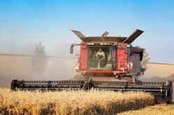 Cách Nga trở thành nước dẫn đầu thế giới về nông sản