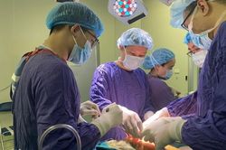 Viêm cột sống dính khớp, 30 năm người phụ nữ chỉ...nằm