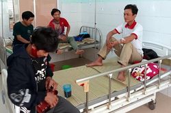 5 người dân bị ngộ độc do ăn nấm rừng