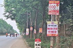 'Ma trận' quảng cáo đất nền trên Đại lộ Thăng Long
