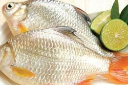 Cách 'đánh bay' mùi tanh của cá, đem rán - nấu hay kho đều ngon