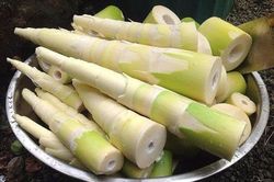 Tác dụng tuyệt vời của măng đối với sức khỏe