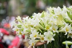 Tử vi ngày 9/4/2021 của 12 cung hoàng đạo: Song Ngư trở nên quyết đoán