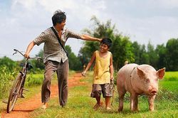 Bài dự thi 'Ký ức mùa Hè của tôi': Tuổi thơ nào chăn vịt nhặt trứng trên đồng