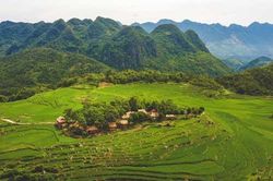 Những khu nghỉ dưỡng đưa du khách đắm mình giữa rừng cây tại Việt Nam