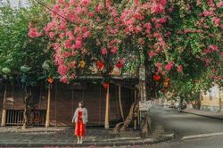 Lang thang những góc sống ảo lạ khi đến Hội An