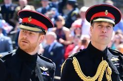 Harry sẽ về đứng bên William trong tang lễ Hoàng thân Philip, còn Kate và Meghan thì sao?