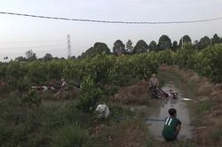 Hàng trăm 'quái xế' tháo chạy khi bị vây bắt, nhiều thanh niên lao xe xuống kênh bỏ trốn