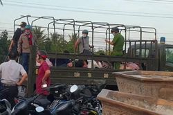 Bắt gần 100 quái xế rủ nhau về Tiền Giang, đua xe trái phép trên QL1