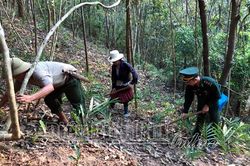 Học và làm theo Bác trong lực lượng 'quân hàm xanh'