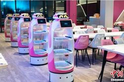 Đột nhập nhà hàng có robot phục vụ khiến khách hàng chen chân đặt chỗ