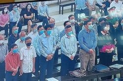Vụ Gang thép Thái Nguyên: Bác đề nghị triệu tập ông Vũ Huy Hoàng