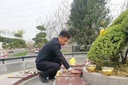 Cha xin làm việc tại nghĩa trang, giữ lời hứa 'luôn bên con gái'