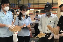 Ngành Hải quan: Ngăn chặn buôn lậu bằng công cụ giám sát trực tuyến