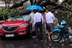 Hàng loạt cây xanh ngã đổ, đè người trong cơn mưa to