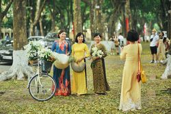 Loa kèn cuối mùa trên con đường lãng mạn nhất Hà Nội