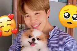 Đây là những lần Jimin BTS chứng tỏ là 'boyfriend material' tuyệt vời