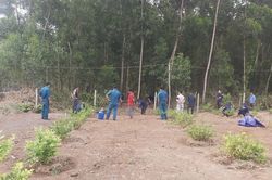 Tìm thấy thêm 5 bộ hài cốt liệt sĩ tại nơi từng là chiến trường khốc liệt
