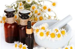 Những loại thảo mộc giúp bạn chống lại căng thẳng