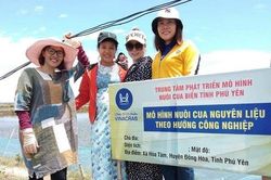Mô hình nuôi cua lột mang giá trị kinh tế cao