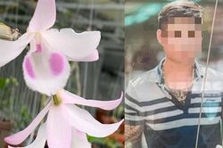 Chủ vườn lan đột biến làm cách nào để có thể ôm 700 tỷ đồng 'kie lúa non' rồi bỏ trốn?